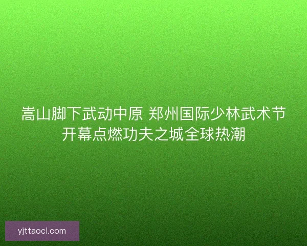 嵩山脚下武动中原 郑州国际少林武术节开幕点燃功夫之城全球热潮