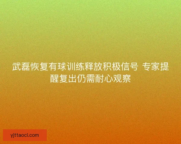 武磊恢复有球训练释放积极信号 专家提醒复出仍需耐心观察