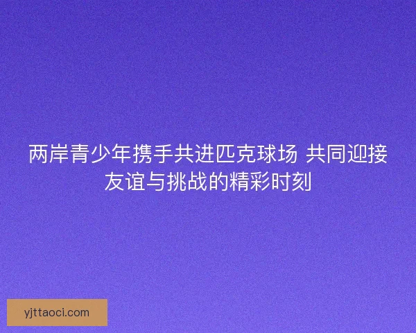 两岸青少年携手共进匹克球场 共同迎接友谊与挑战的精彩时刻